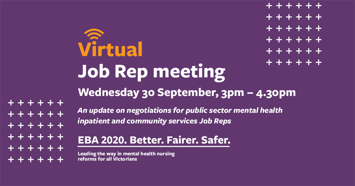 Virtual public sector mental health Job Rep meeting